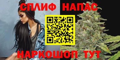 Альфа ПВП Нягань