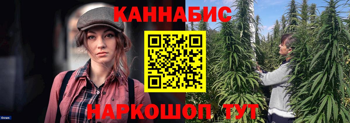 МАРИХУАНА ГИДРОПОН  Вход с VPN  Каннабис Bruce Banner  Тавда  Бошки Шишки семена  МАРИХУАНА конопля 